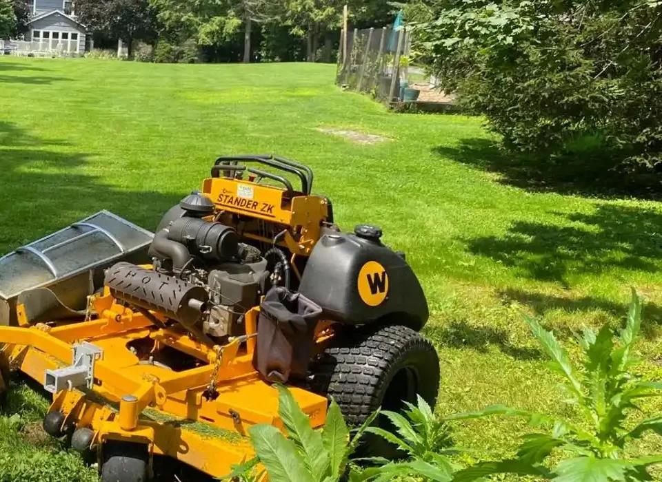 Lawn Mowing