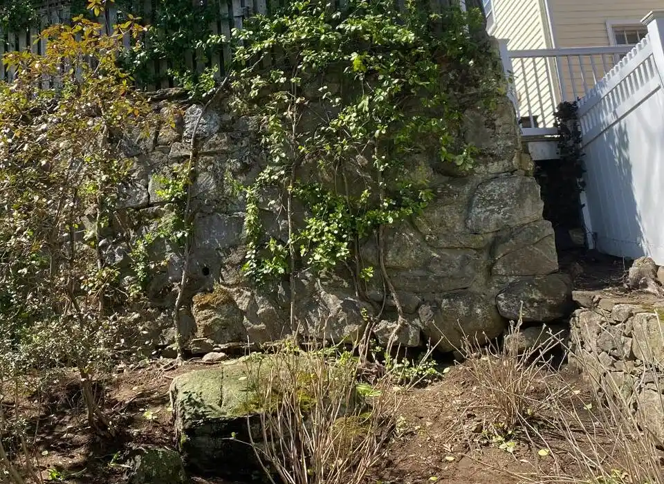 Yard Clean-Up