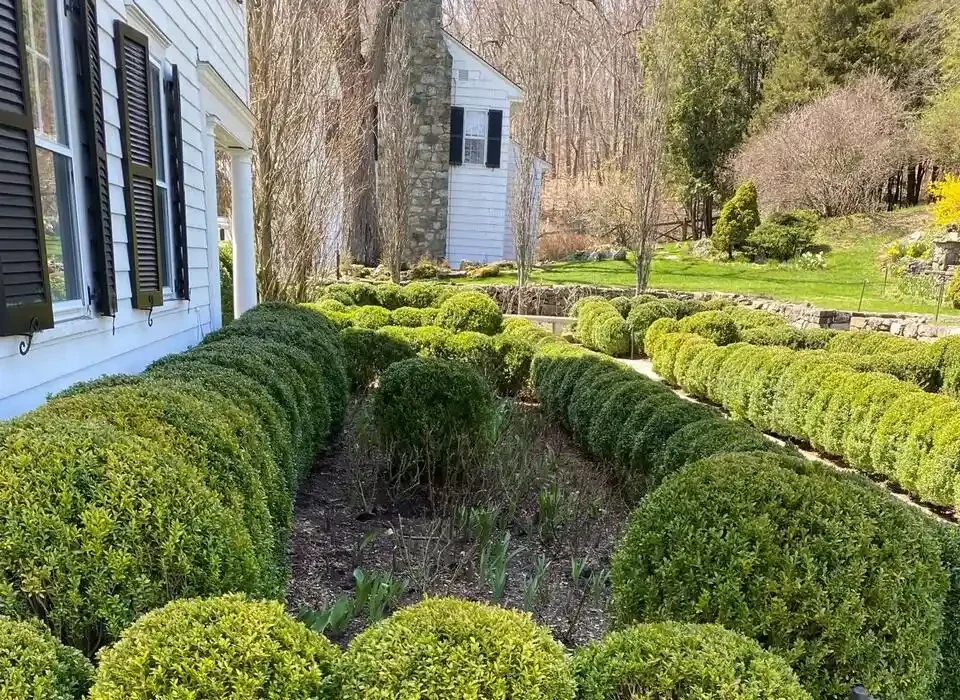 Gardening