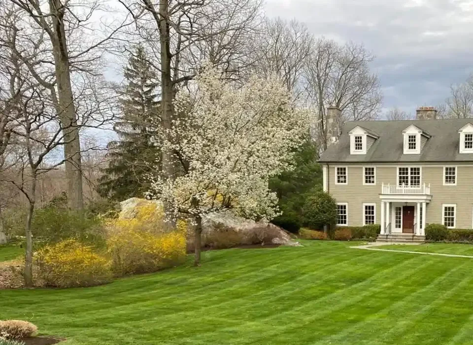 Full Landscaping